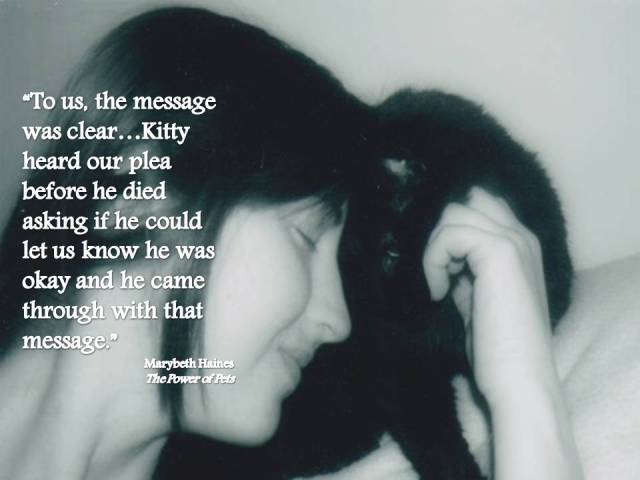 marybeth-haines-kitty