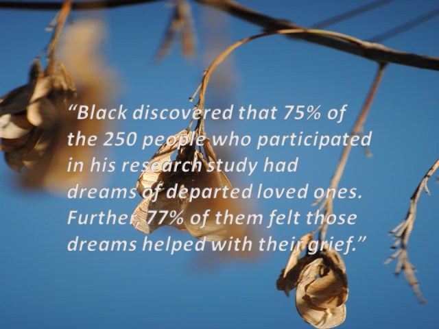 what-can-dreams-tell-us-about-an-after-life-quote