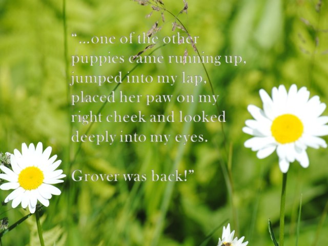 Mary Schebil for Blog