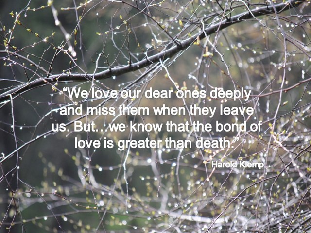 Klemp - Miss our dear ones