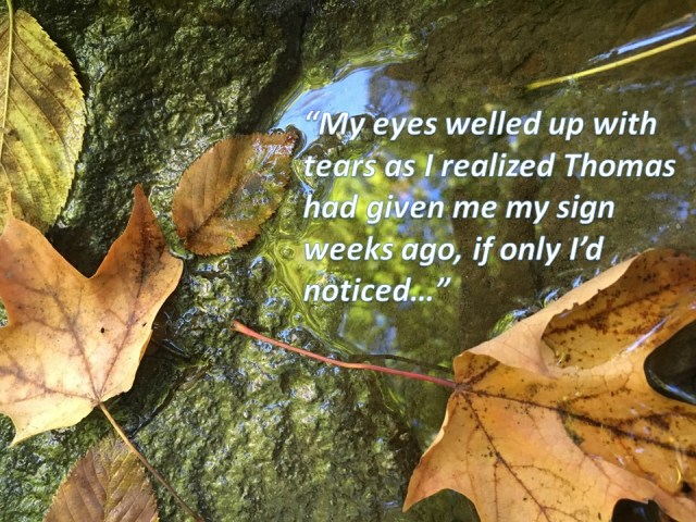 Darlene Montgomery - For Blog