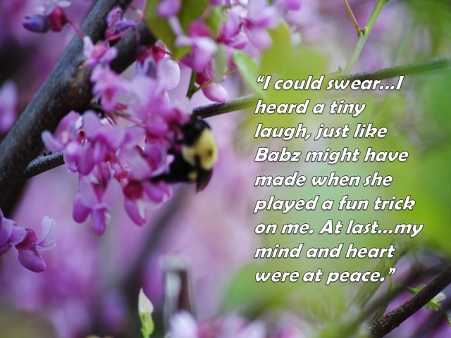 Mel Kazonoff for Blog