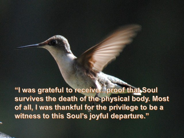 Ruth Ann S-W - 1 - for blog