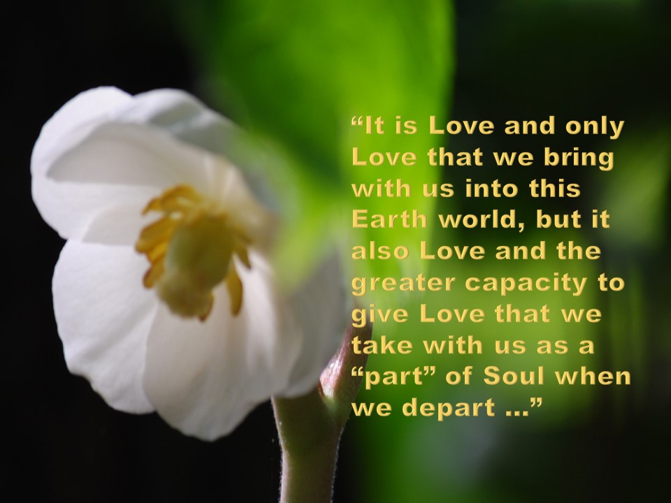 What Happens to Love When We Die? – The Meaning of Forever