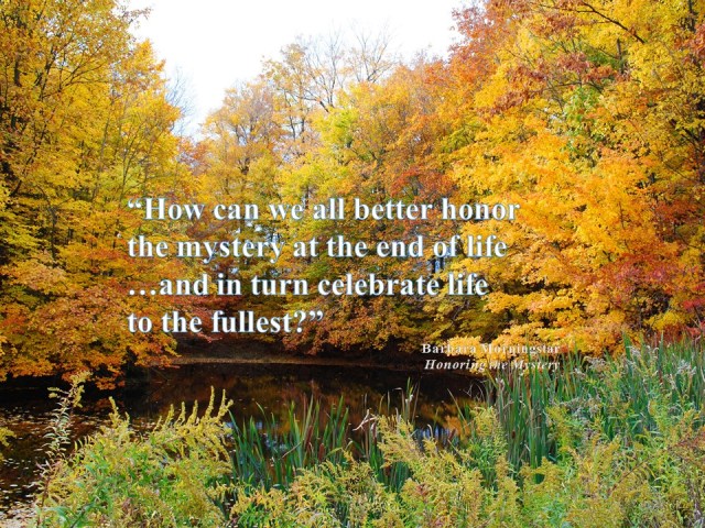 Joan Olinger - Morningstar Review