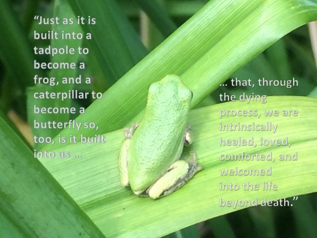 joan olinger - a good death - kerr