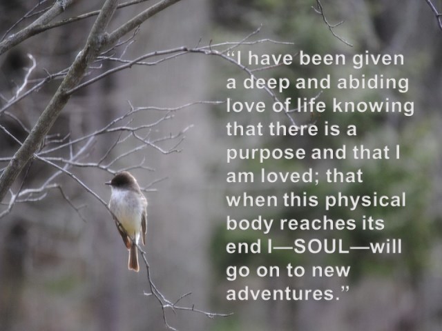 Brenda Solanki - NDE - March 19