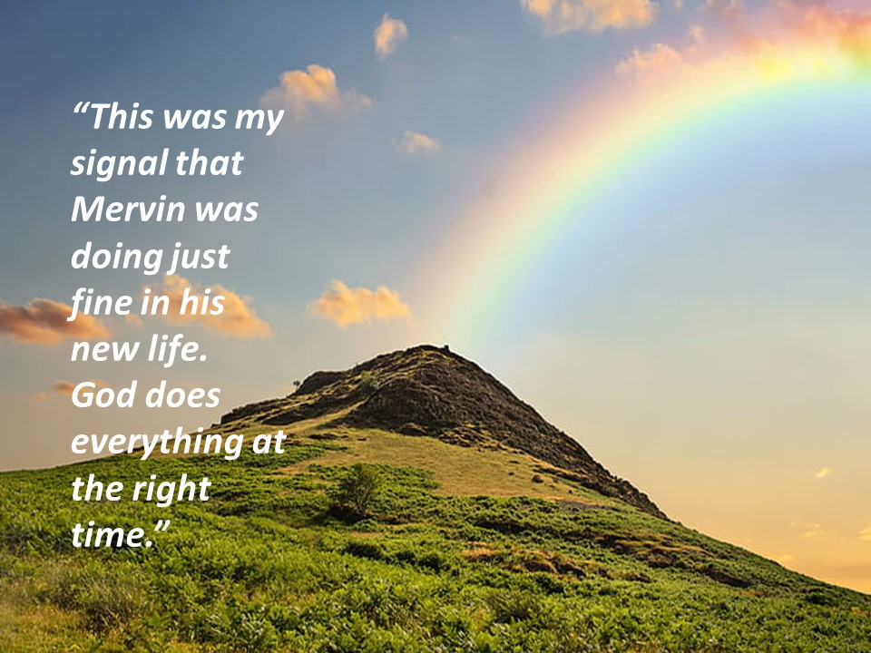 Charlotte Miloknay for Blog